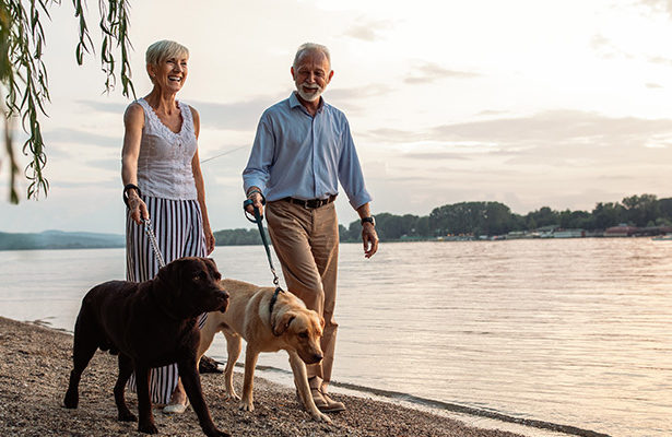 Older couple walking their dog on the beach