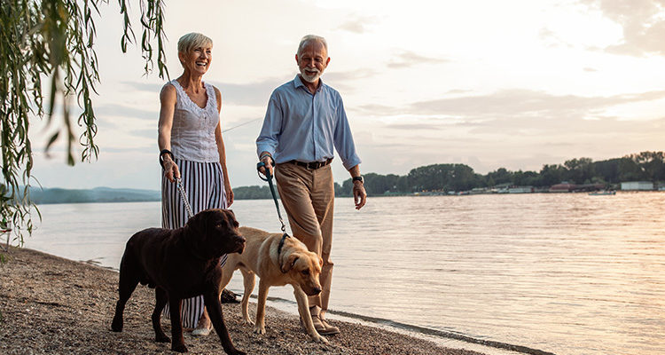 Older couple walking their dog on the beach