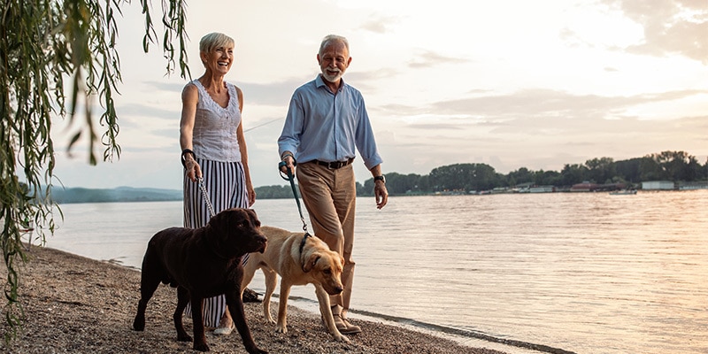 Older couple walking their dog on the beach