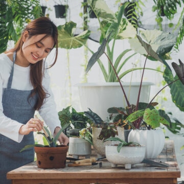 Home gardening business women